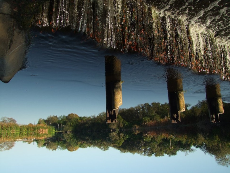 Illustration for article titled 77 Upside Down Photos